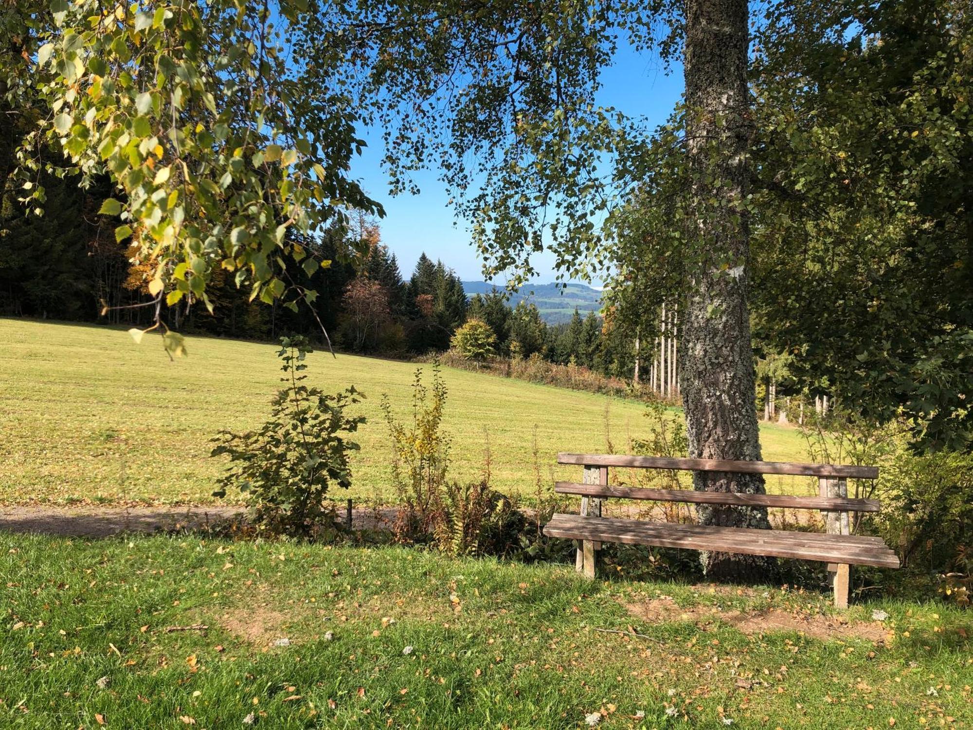 2 Zimmer Wohnung, Mit Sonnenterasse Schoenwald im Schwarzwald Exterior photo